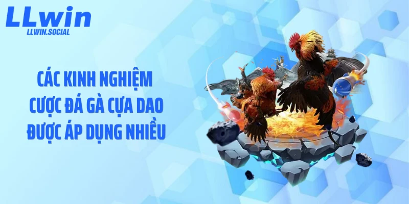 Các kinh nghiệm cược đá gà cựa dao được áp dụng nhiều