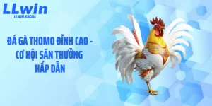 Đá Gà Thomo Đỉnh Cao - Cơ Hội Săn Thưởng Hấp Dẫn