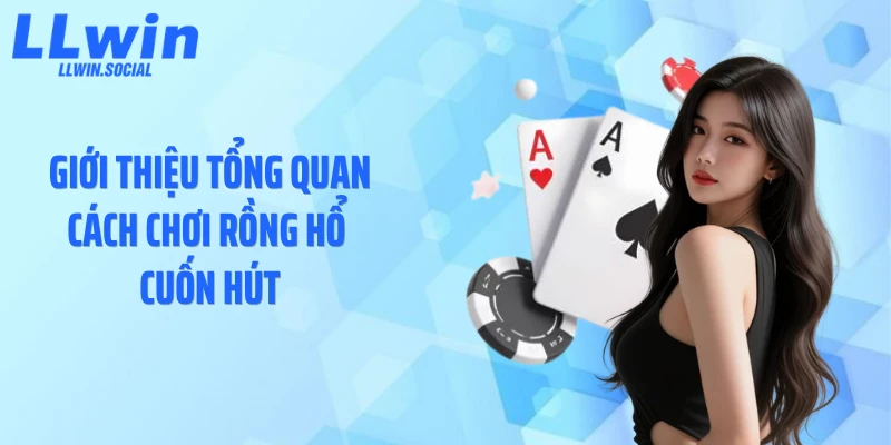 Giới thiệu tổng quan cách chơi rồng hổ cuốn hút