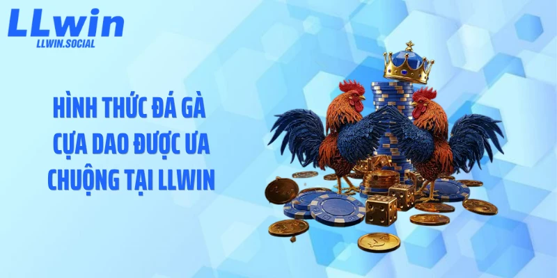 Hình thức đá gà cựa dao được ưa chuộng tại LLWIN